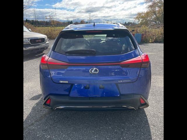 2021 Lexus UX 250h F Sport