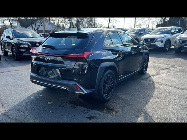 2021 Lexus UX 250h F Sport