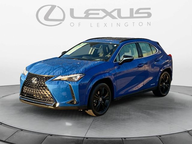 2021 Lexus UX 250h