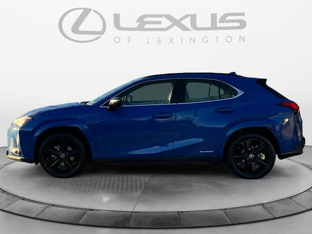 2021 Lexus UX 250h