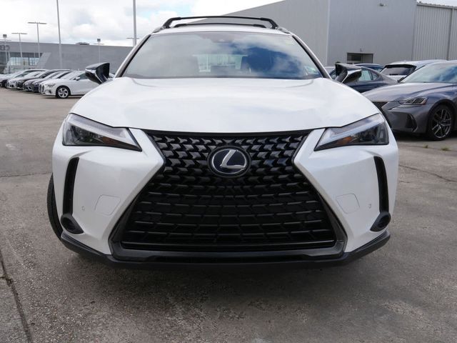 2021 Lexus UX 250h