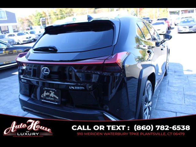 Trunk Ledge | Lexus UX 200 F SPORT 2021 Trunk Ledge | Lexus UX 200 F SPORT 2021