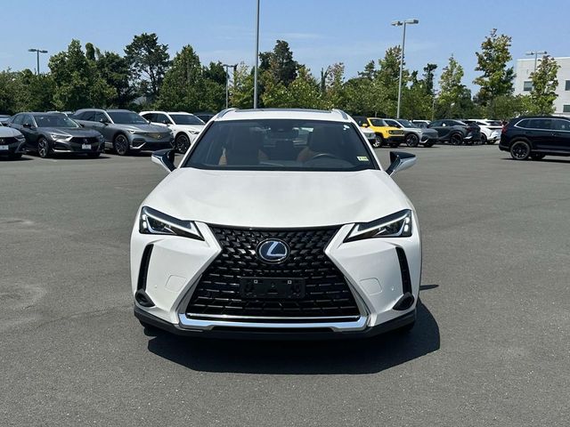 2021 Lexus UX 250h