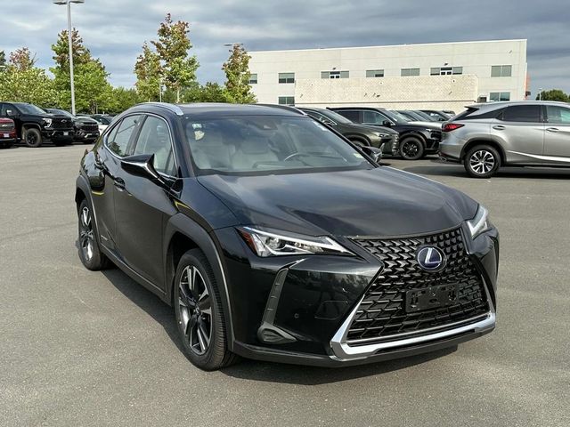 2021 Lexus UX 250h