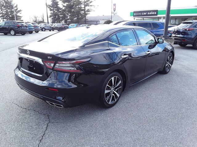 2021 Nissan Maxima SV