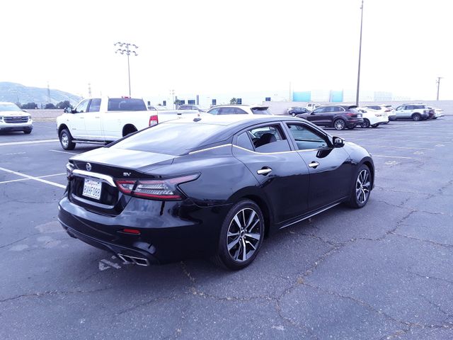 2021 Nissan Maxima SV