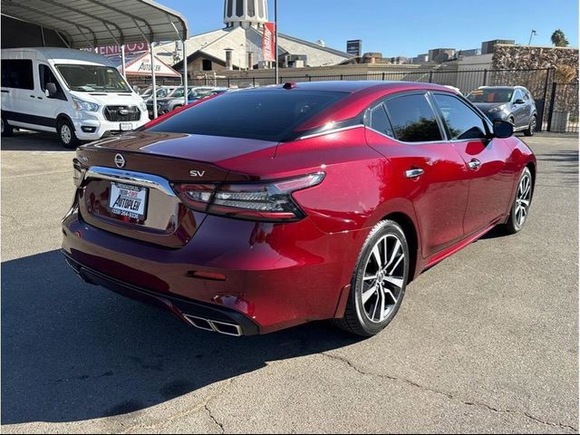 2021 Nissan Maxima SV