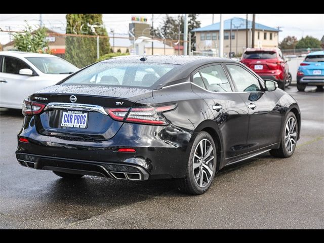 2021 Nissan Maxima SV