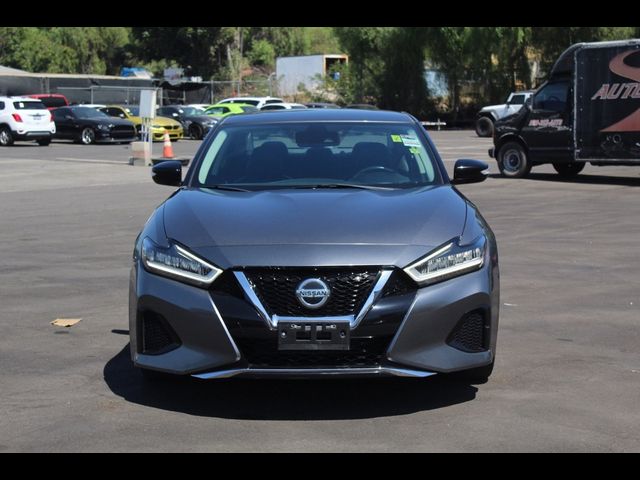 2021 Nissan Maxima SV