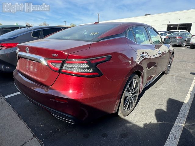 2021 Nissan Maxima SV