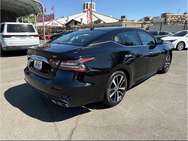 2021 Nissan Maxima SV