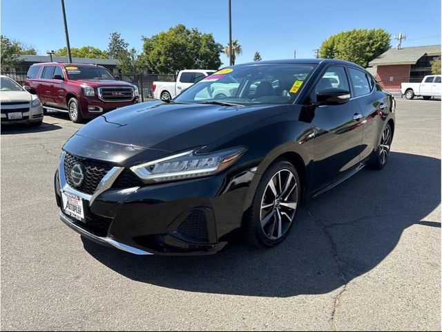 2021 Nissan Maxima SV