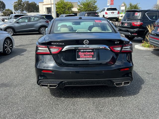 2021 Nissan Maxima SV