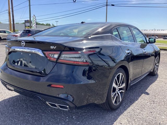 2021 Nissan Maxima SV