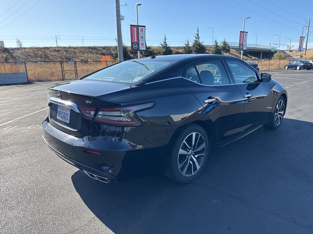 2021 Nissan Maxima SV