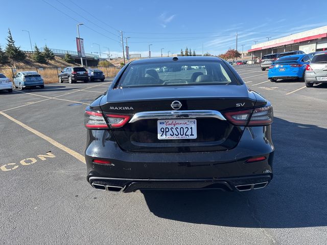 2021 Nissan Maxima SV