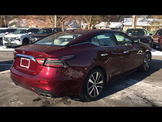 2021 Nissan Maxima SV