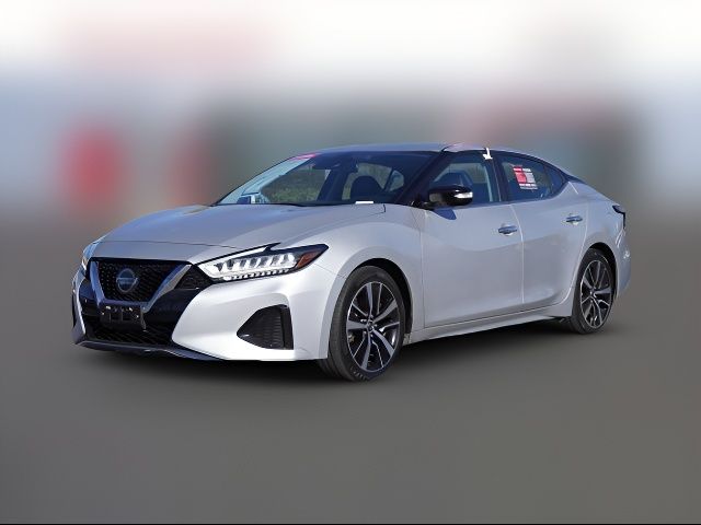 2021 Nissan Maxima SV