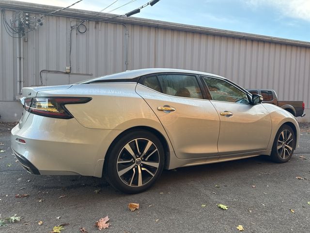 2021 Nissan Maxima SV