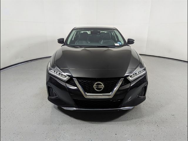 2021 Nissan Maxima SV