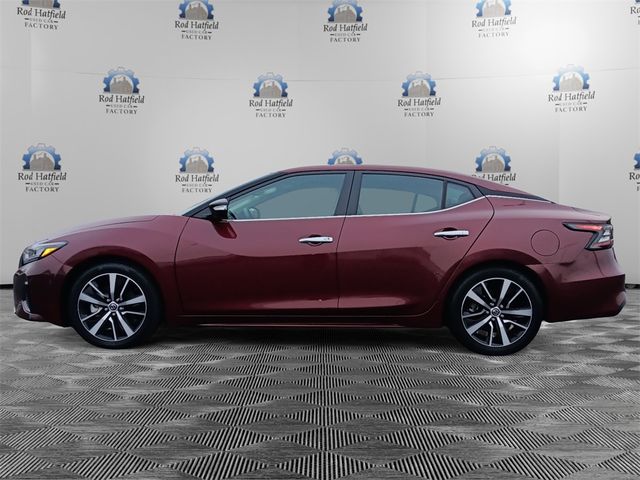 2021 Nissan Maxima SV