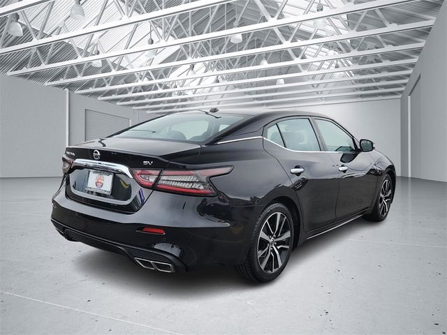 2021 Nissan Maxima SV