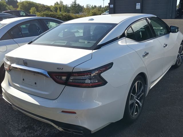 2021 Nissan Maxima SV