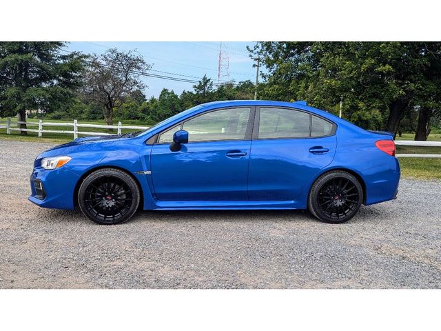 2021 Subaru WRX Base