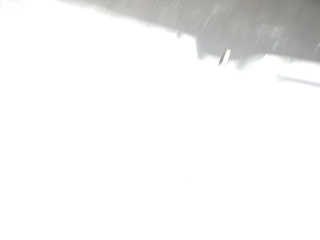 2021 Tesla Model 3 Performance