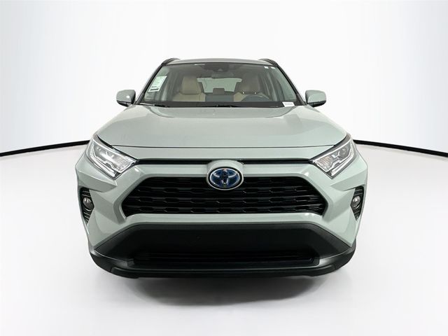 2021 Toyota RAV4 Hybrid XLE Premium