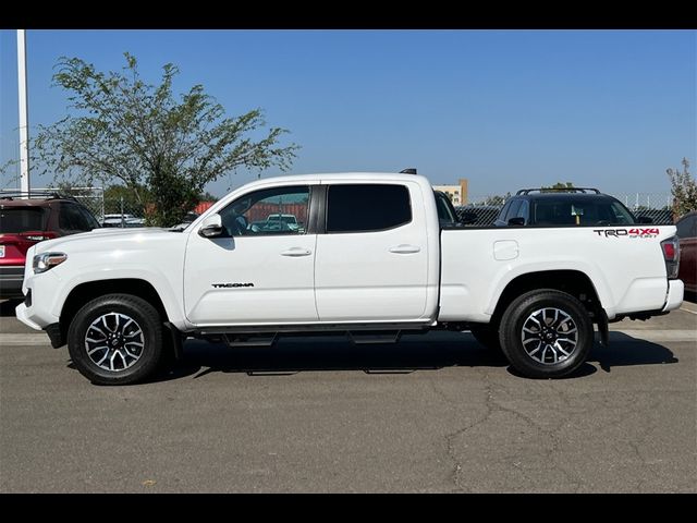 2021 Toyota Tacoma TRD Sport