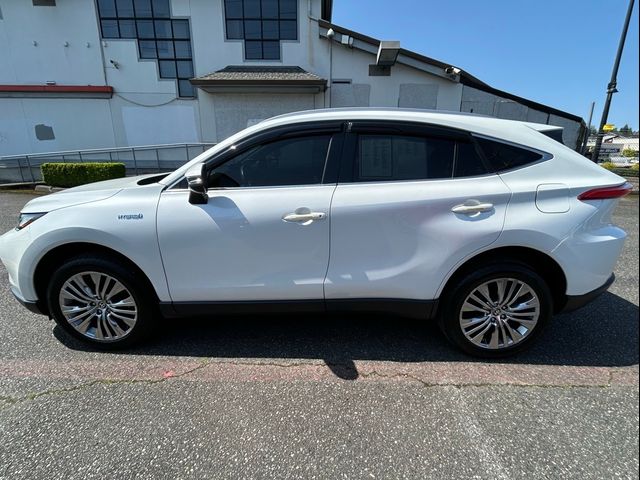 2021 Toyota Venza XLE