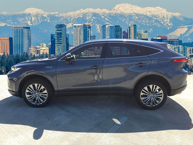 2021 Toyota Venza XLE