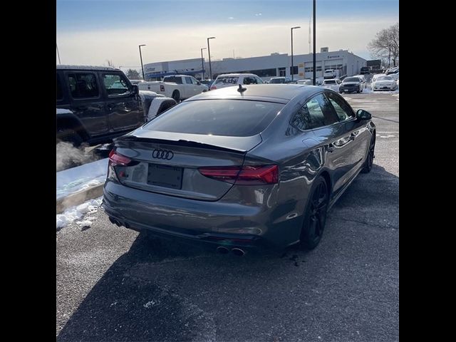 2022 Audi S5 Sportback Premium Plus