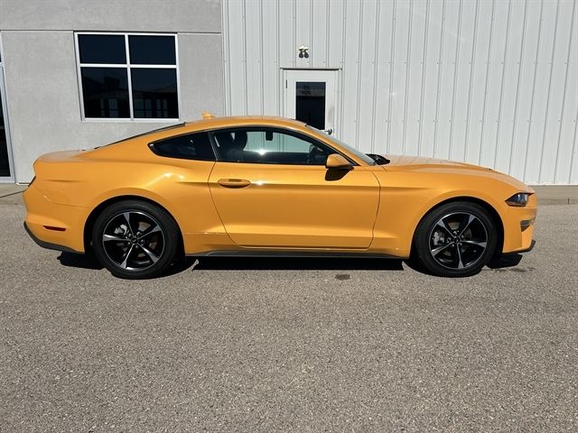 2022 Ford Mustang EcoBoost