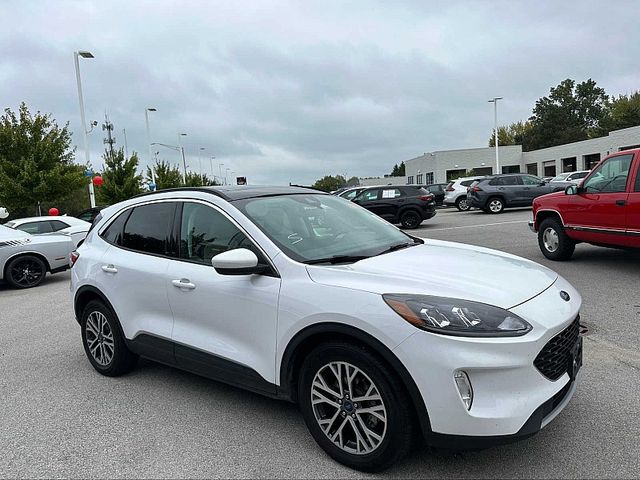 2022 Ford Escape Hybrid SEL