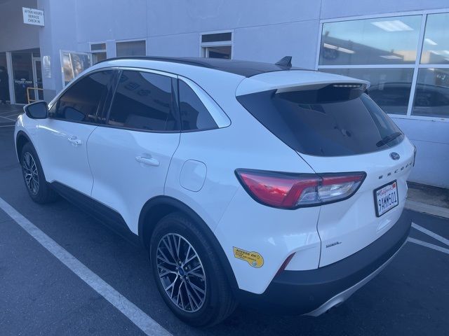 2022 Ford Escape Plug-In Hybrid SEL