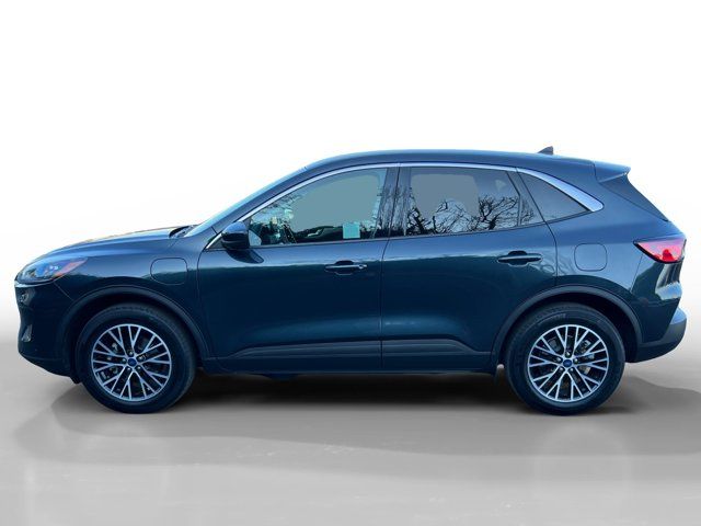 2022 Ford Escape Plug-In Hybrid SEL