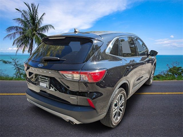 2022 Ford Escape Hybrid SEL