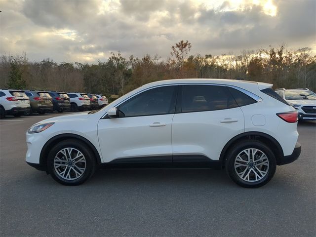 2022 Ford Escape Hybrid SEL