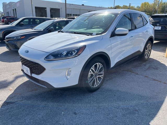 2022 Ford Escape Hybrid SEL