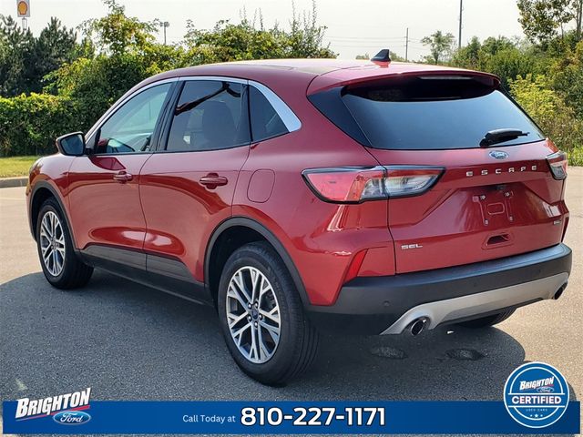 2022 Ford Escape Hybrid SEL