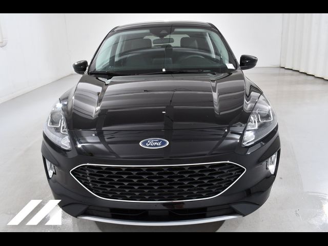 2022 Ford Escape Hybrid SEL