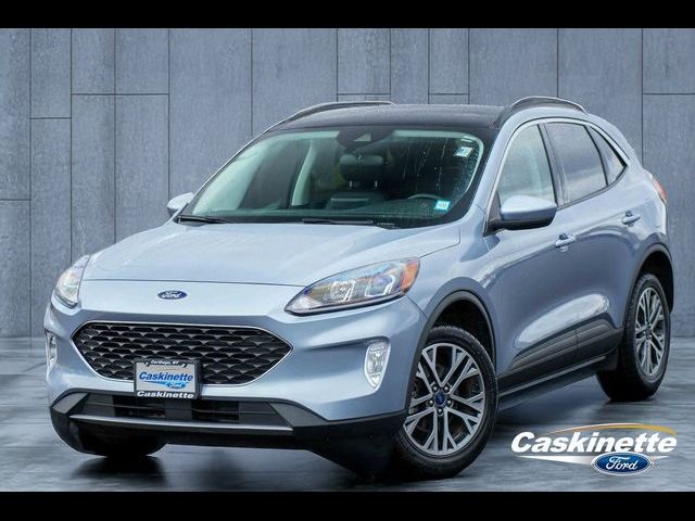 2022 Ford Escape Hybrid SEL