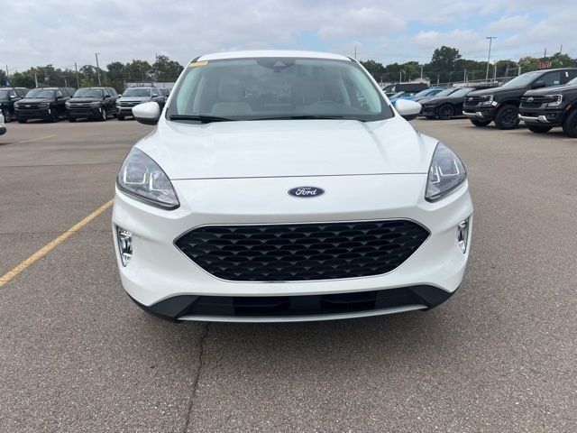 2022 Ford Escape Hybrid SEL