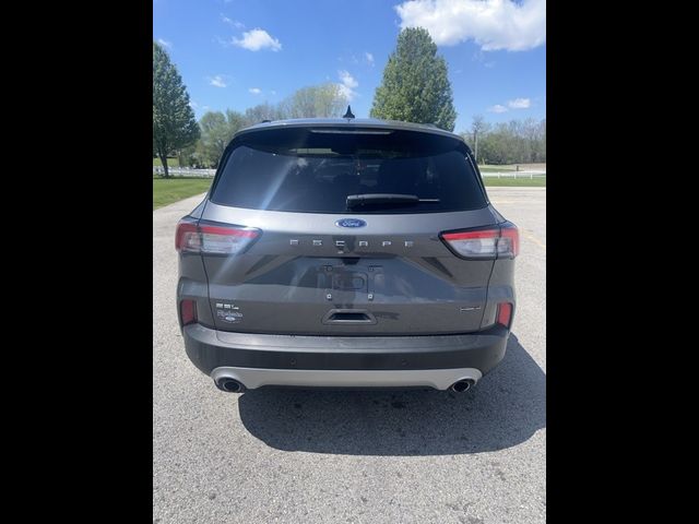 2022 Ford Escape Hybrid SEL