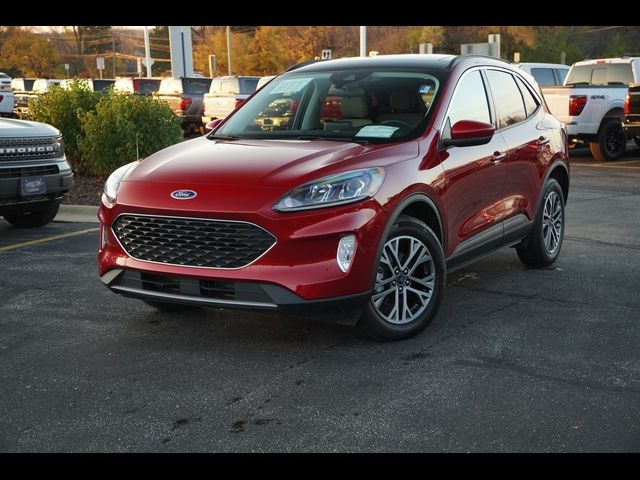 2022 Ford Escape Hybrid SEL