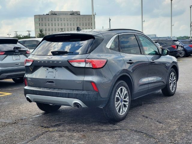 2022 Ford Escape Hybrid SEL