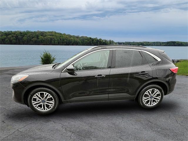 2022 Ford Escape Hybrid SEL