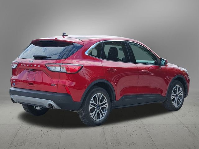 2022 Ford Escape Hybrid SEL